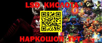 mdma Камышлов