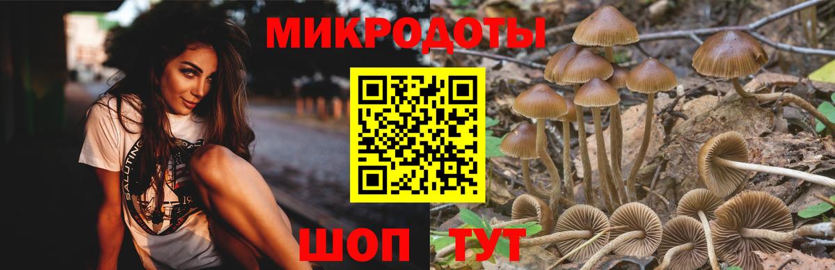 Псилоцибиновые грибы MAGIC MUSHROOMS  Вход с VPN  Камень-на-Оби  Галлюциногенные грибы мухоморы 